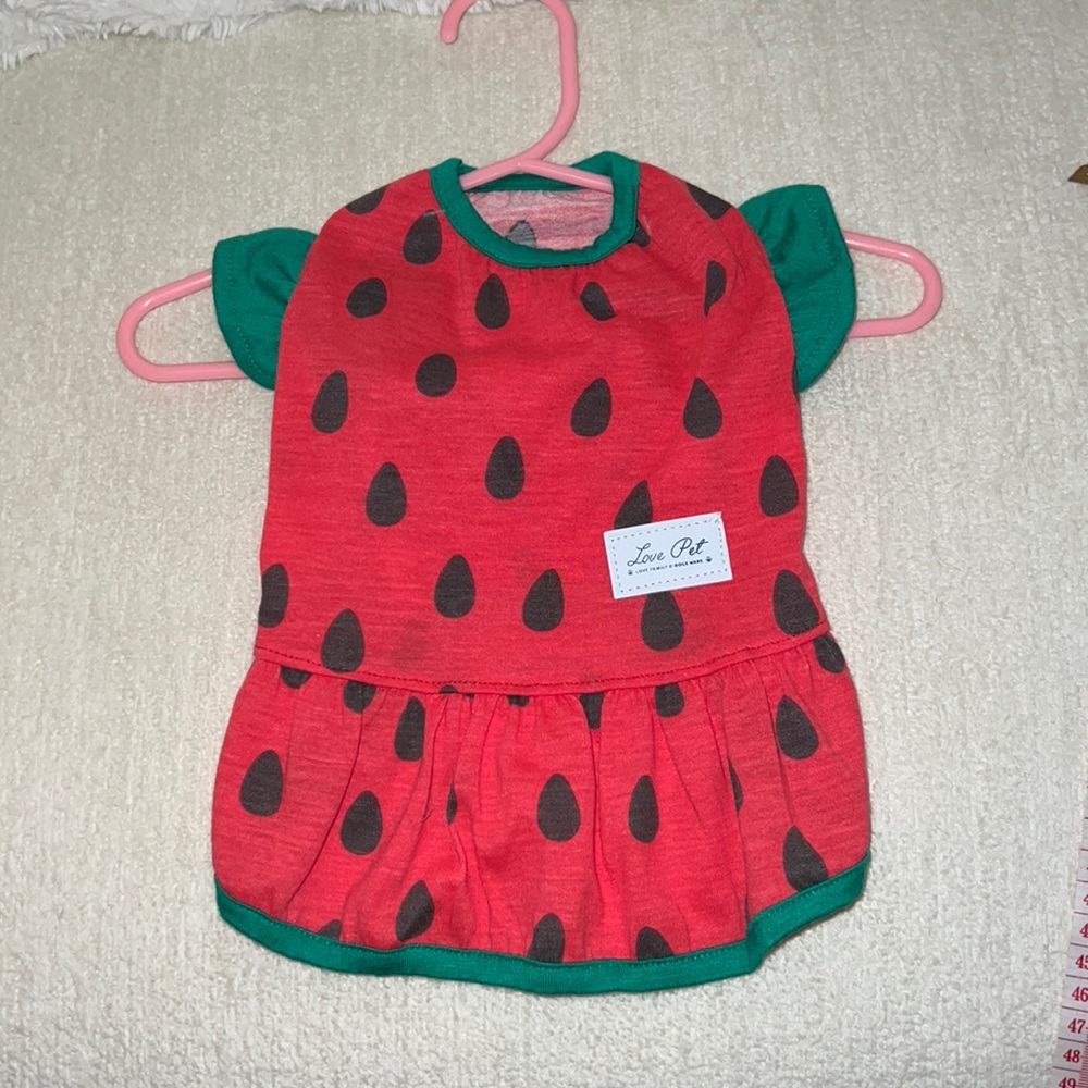 Watermelon dress